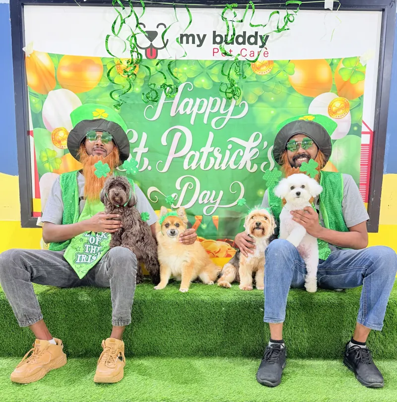 Team members and dogs celebrating St Patrick’s Day